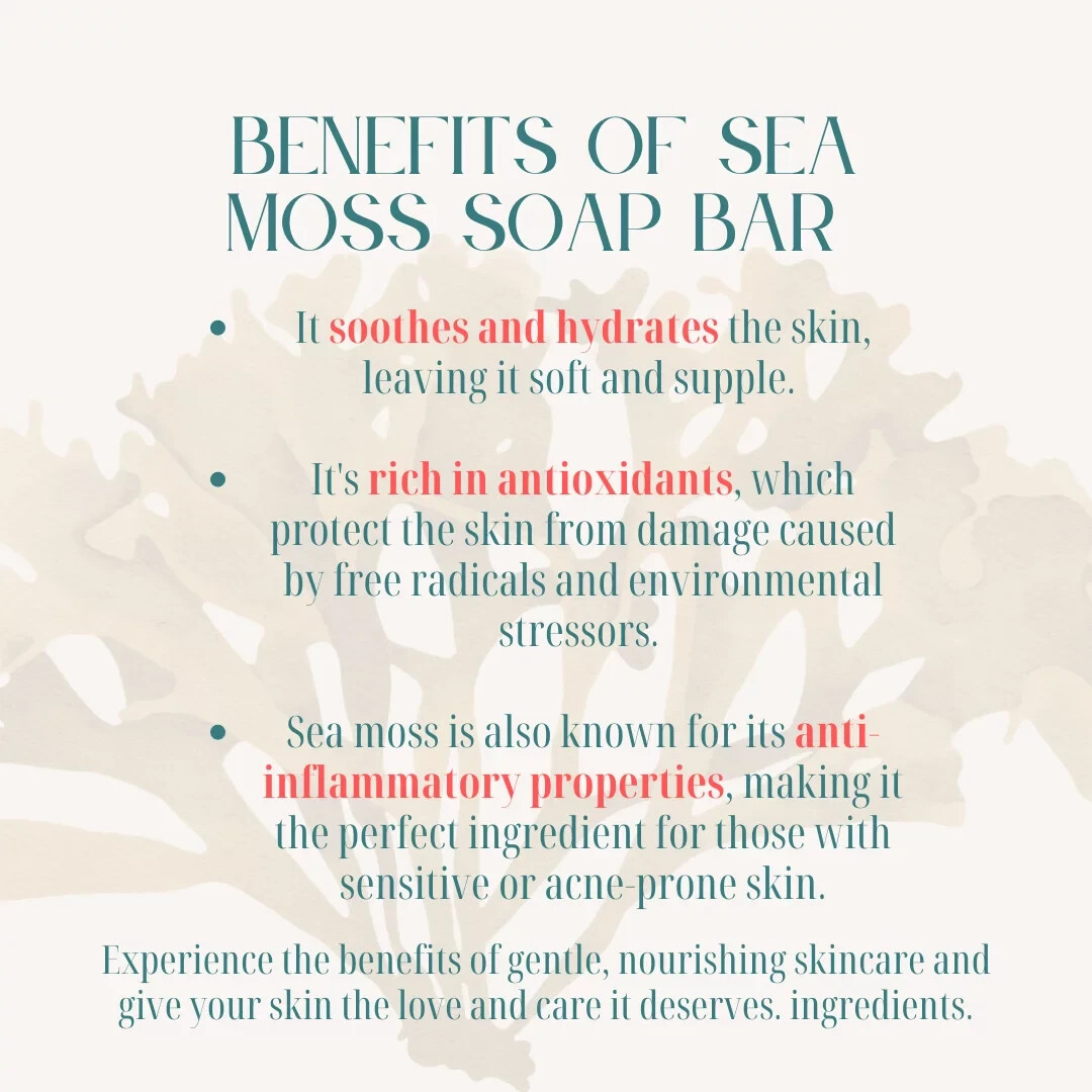 SEA MOSS PEPPERMINT Premium Facial Soap Bar 🌻 4.5 oz. – NEW!