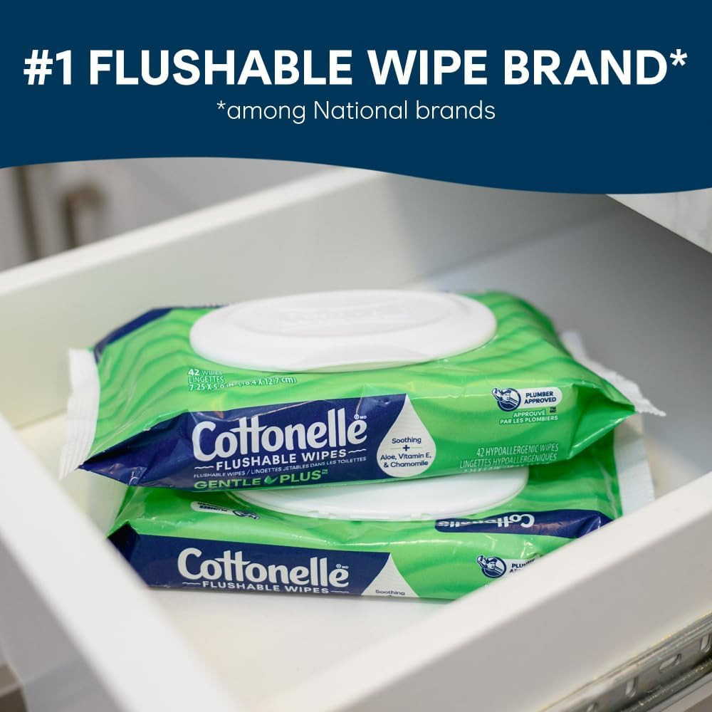 Gentleplus Flushable Wet Wipes with Aloe & Vitamin E, 4 Flip-Top Packs, 42 Wipes