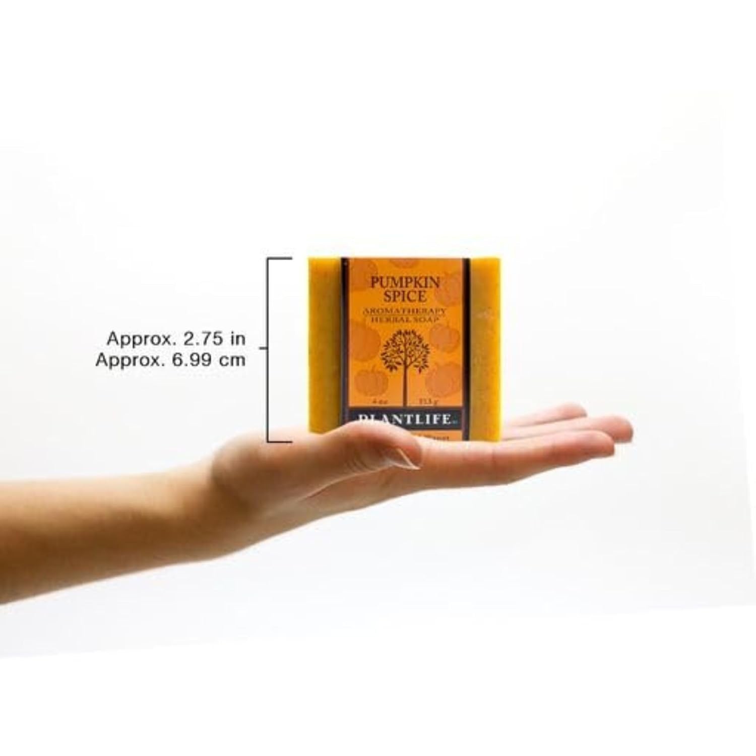 Organic Pumpkin Spice Soap Bar – Soothing Aromatherapy for All Skin Types 4oz