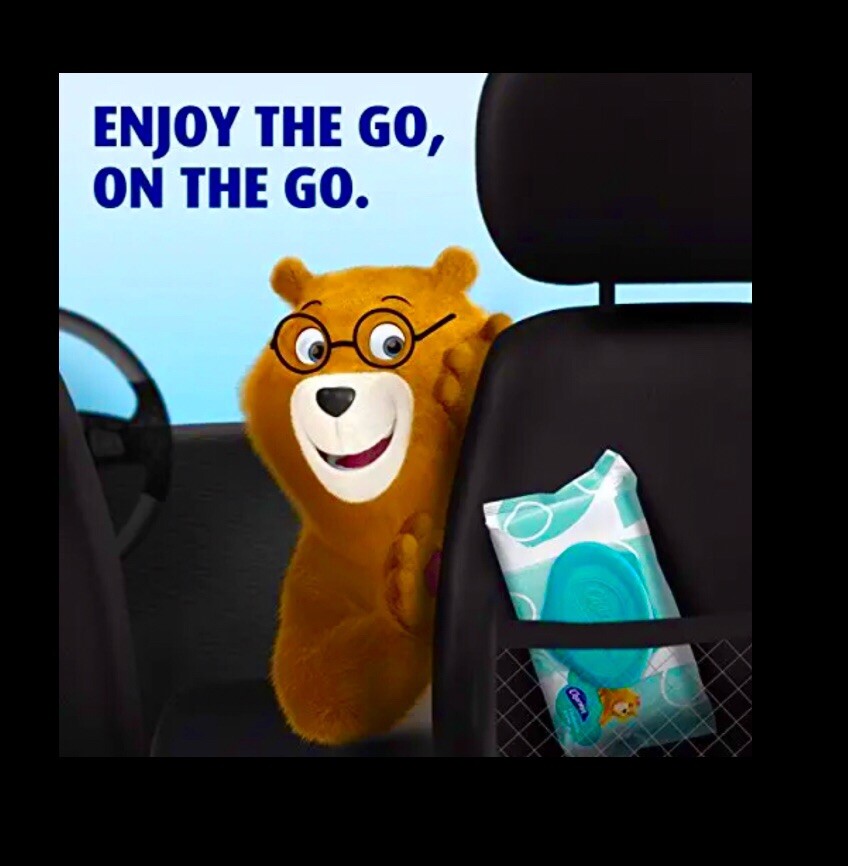 Charmin Flushable Wipes with flip top lids 80 count (2 x 40 Wipes) printed packs