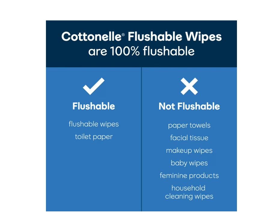 3 PACK Ultra Fresh Flushable Wet Wipes, 4 Flip-Top Packs (168 Total Flushab