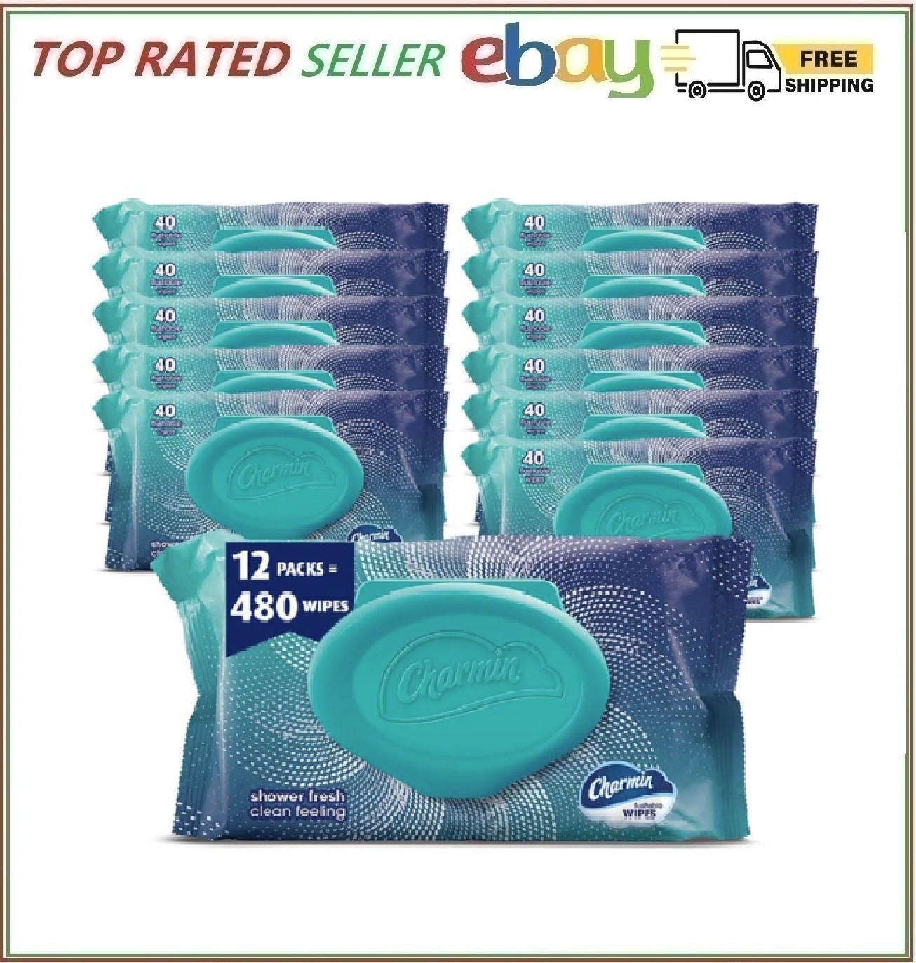 Charmin Flushable Wipes, 480 Total Wipes (12 Packs of 40) 40 Count (Pack of 12)
