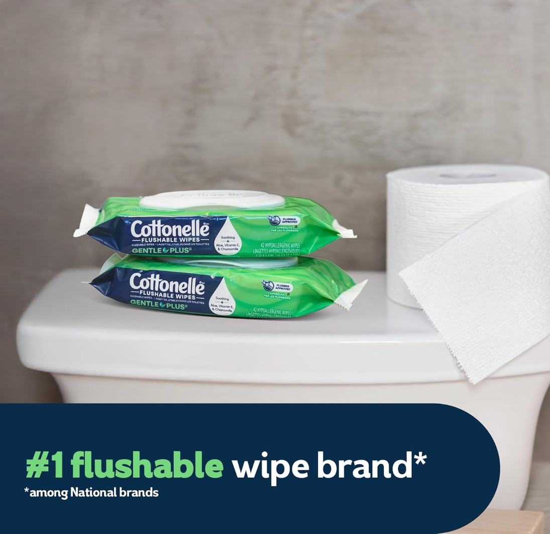 Cottonelle GentlePlus Flushable Wet Wipes, 4 Flip-Top Packs pack of 2