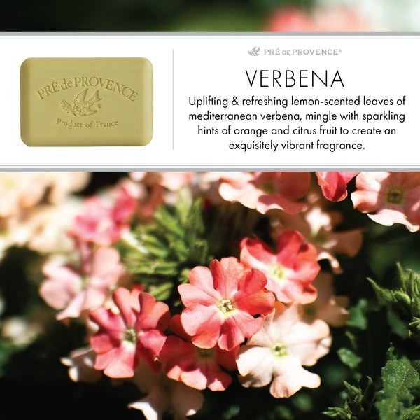 Pre de Provence Verbena Case 18 x 150 Gram French Soap Bath Shower