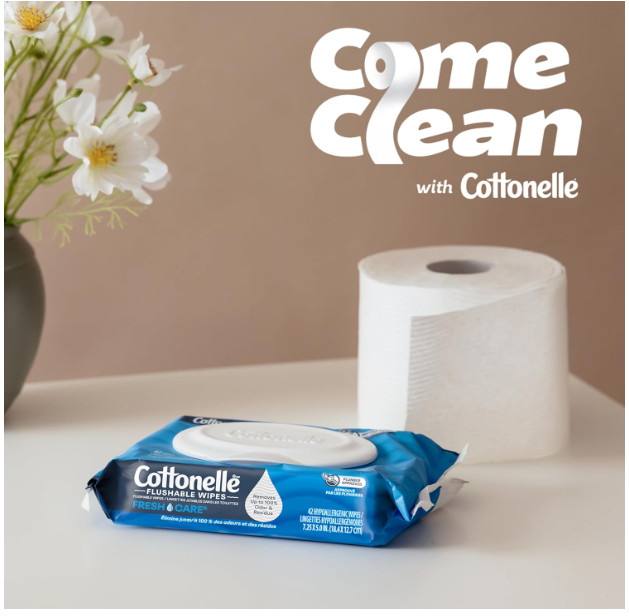 Cottonelle Ultra Fresh Flushable Wet Wipes, 4 Flip-Top Packs Great Price