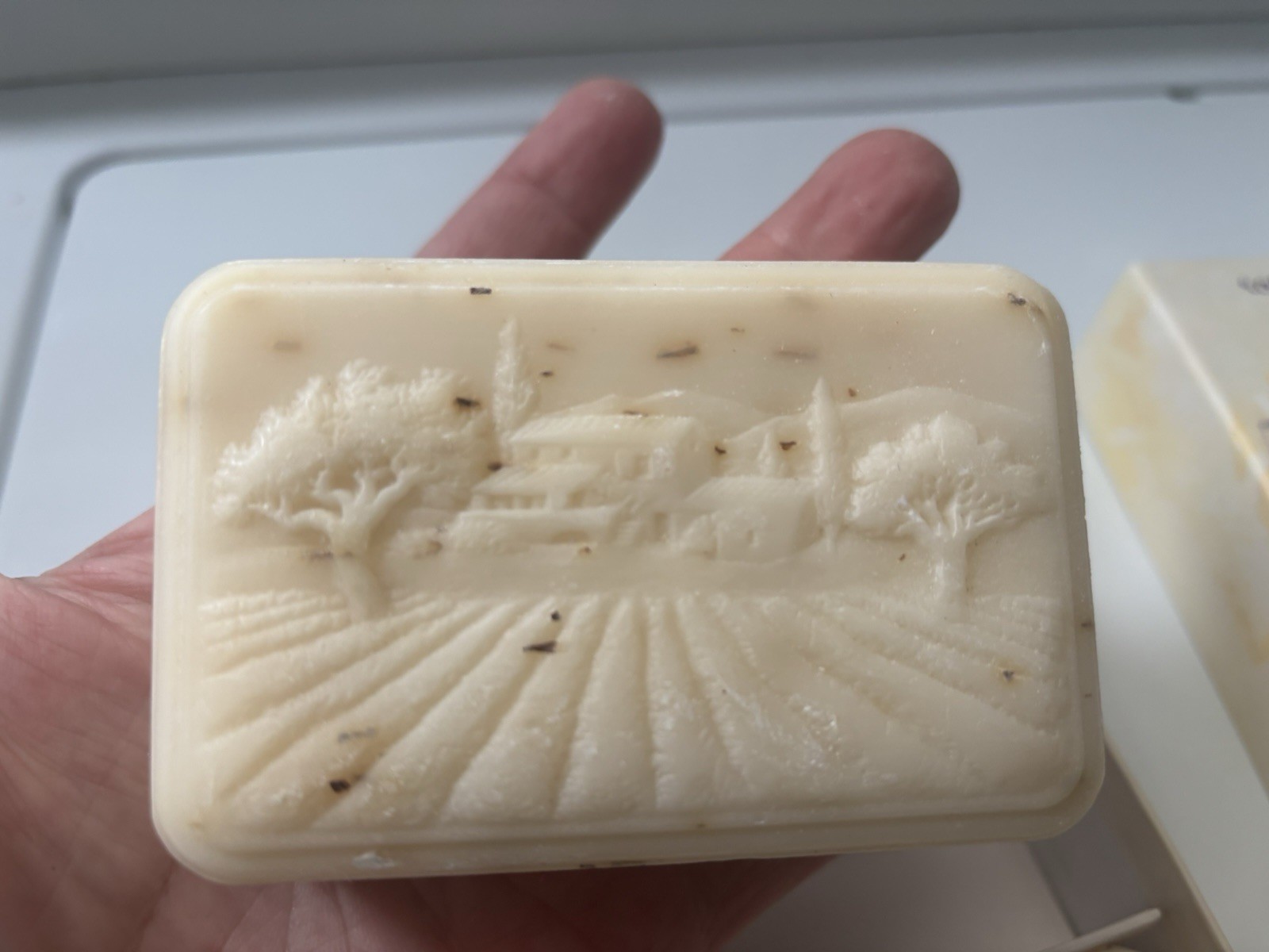 Rosemary Body Bar Soap Set of 3, 7 oz Each, Beige, Rectangular, Made in France