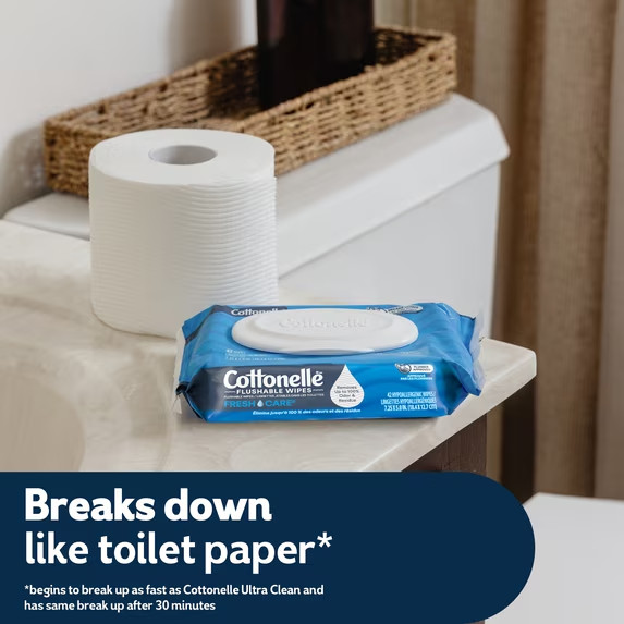 NWT Cottonelle Fresh Care Flushable Wet Wipes, 10 Flip-Top Packs FREE SHIPPING