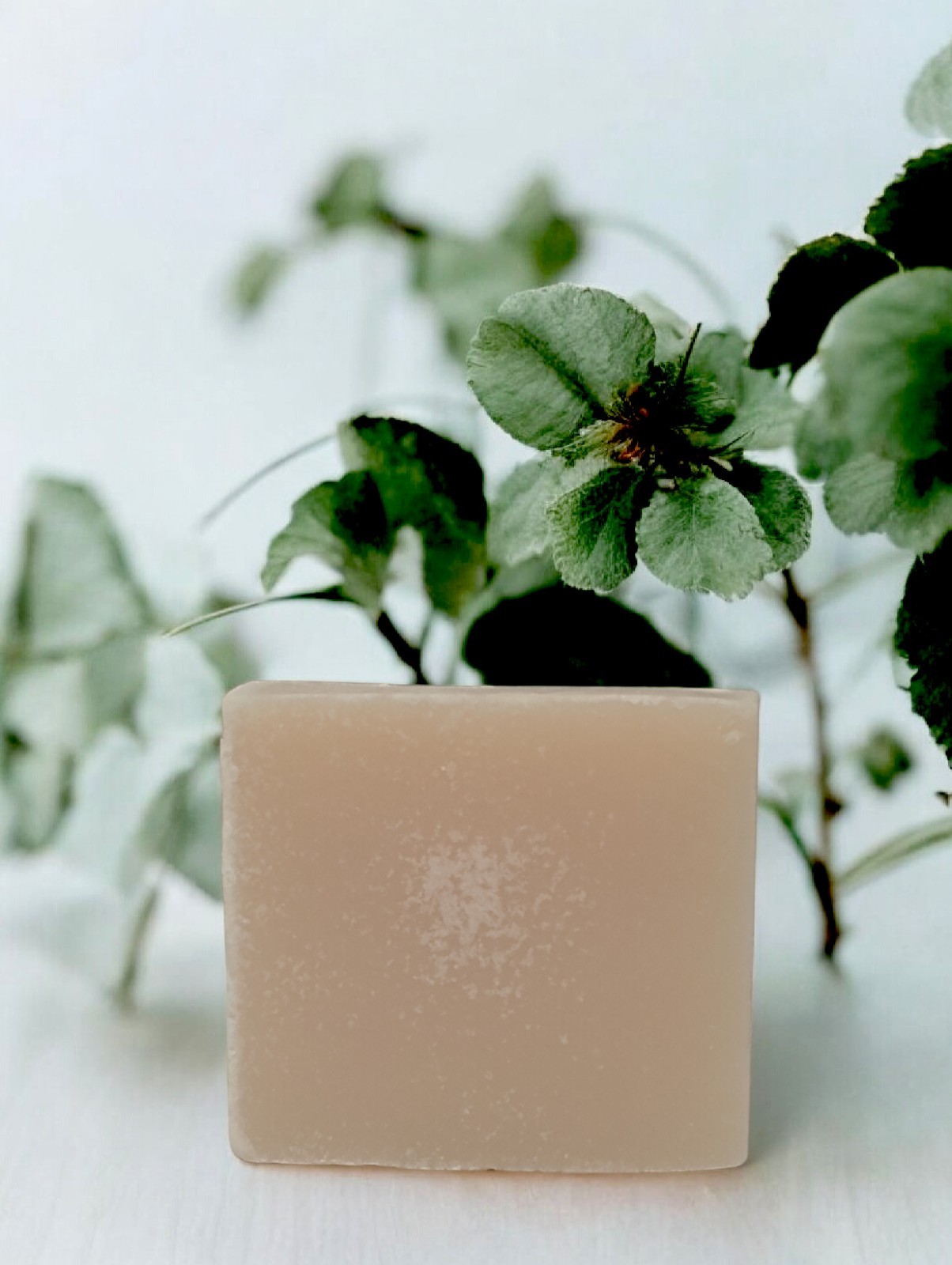 ANGILERI COSMETICS: EUCALYPTUS & PEPPERMINTY NATURAL SOAP Net 4.2 oz/120 g