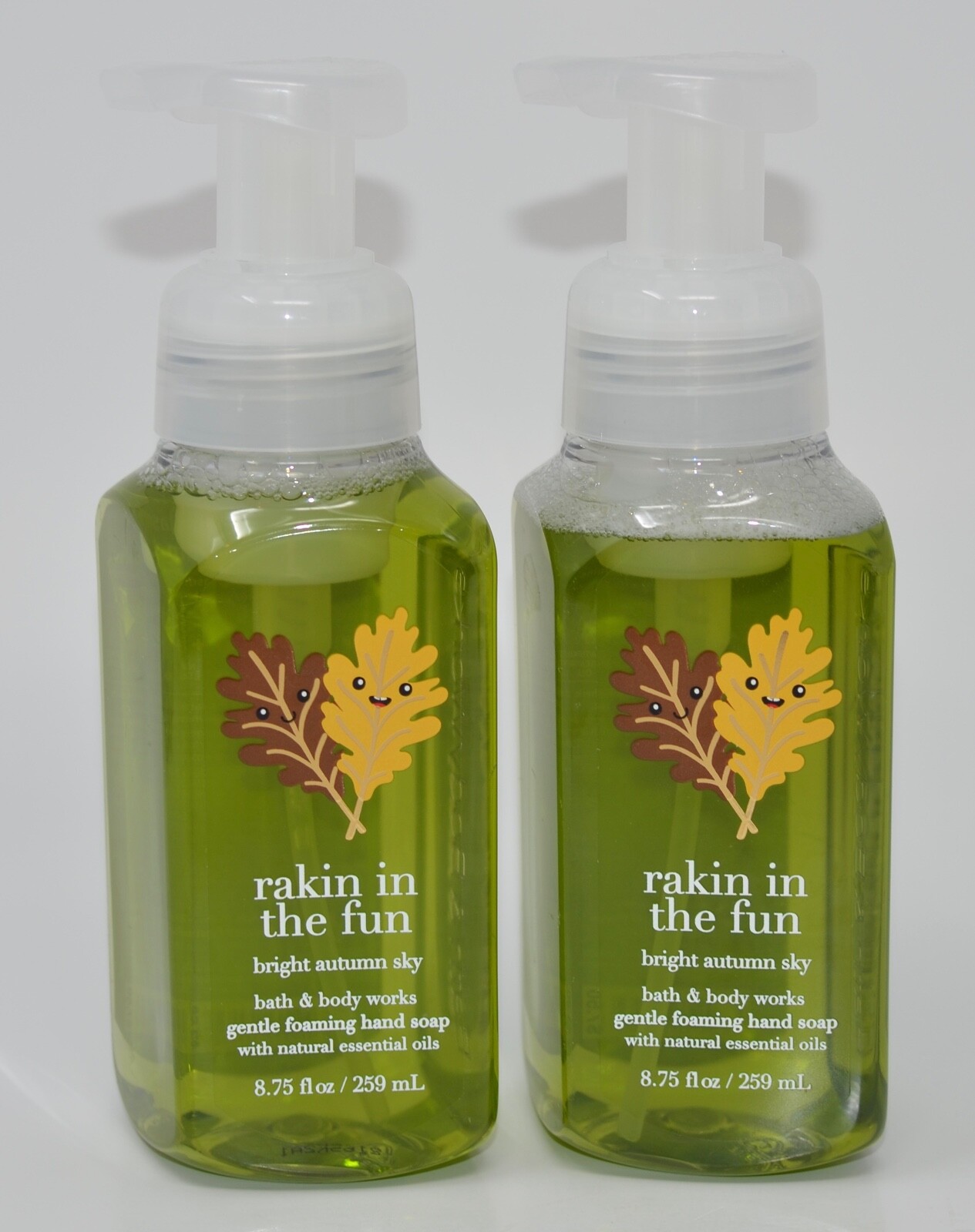2 BATH & BODY WORKS RAKIN IN FUN BRIGHT AUTUMN SKY GENTLE FOAMING HAND SOAP WASH