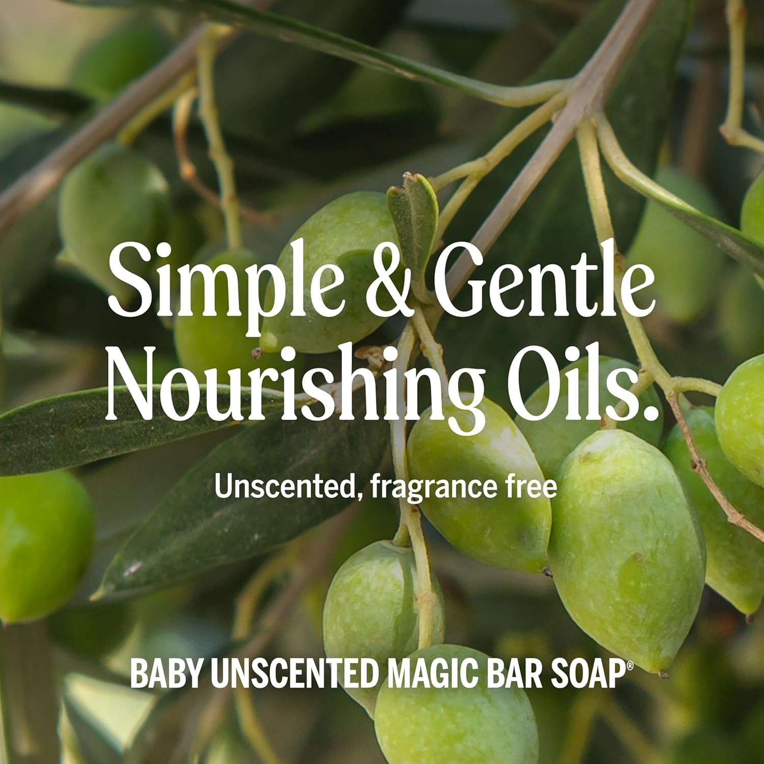 Biodegradable Unscented Soap Bars, 5 oz – 6-Pack Pure-Castile for Sensitive Skin