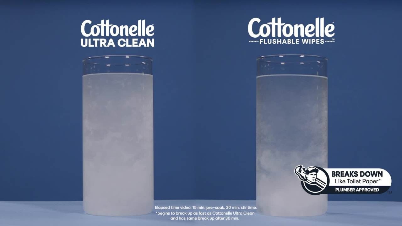 NWT Cottonelle Fresh Care Flushable Wet Wipes, 10 Flip-Top Packs FREE SHIPPING