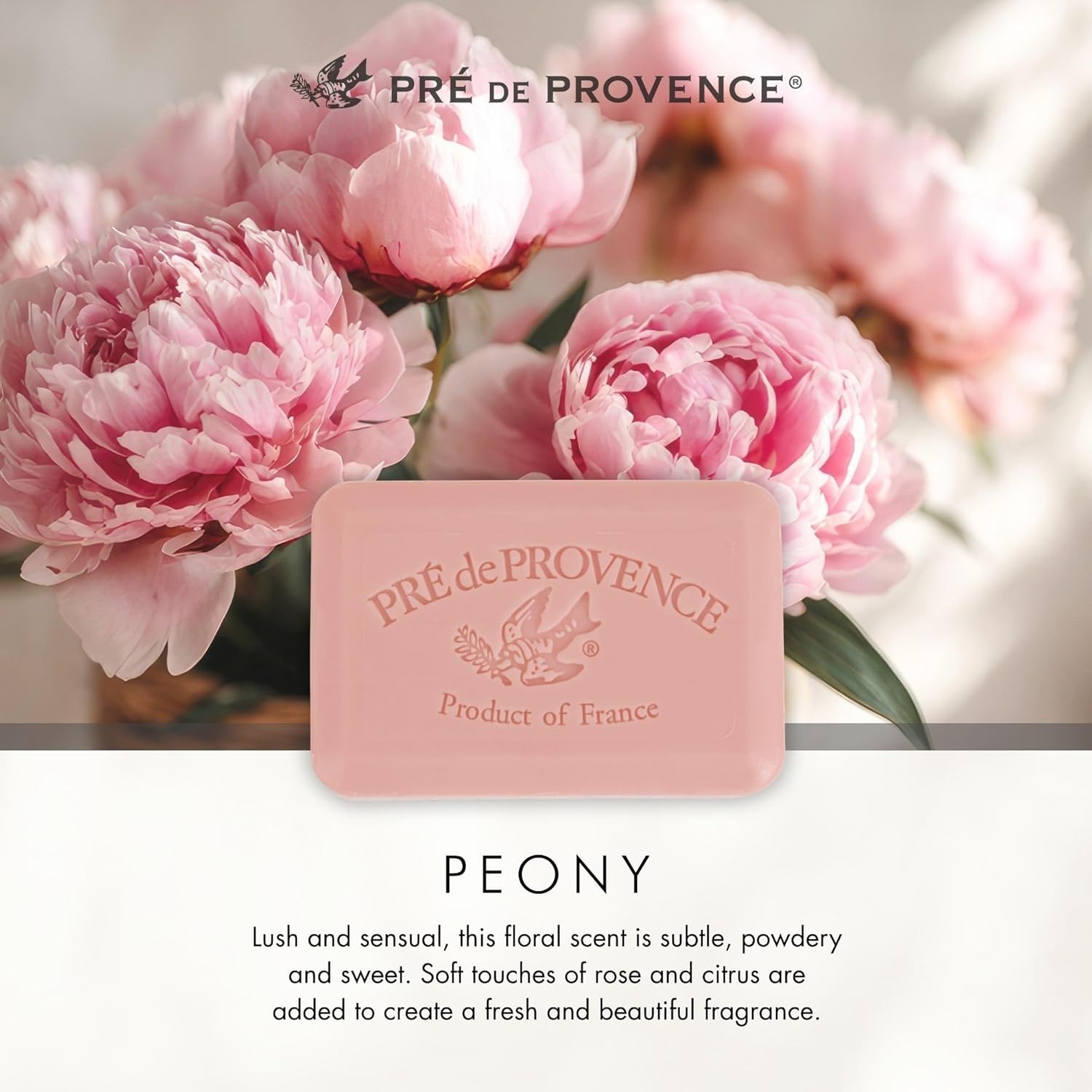 Luxurious Organic Shea Butter Soap Bar, 8.8 oz – Nourishing Peony Fragrance