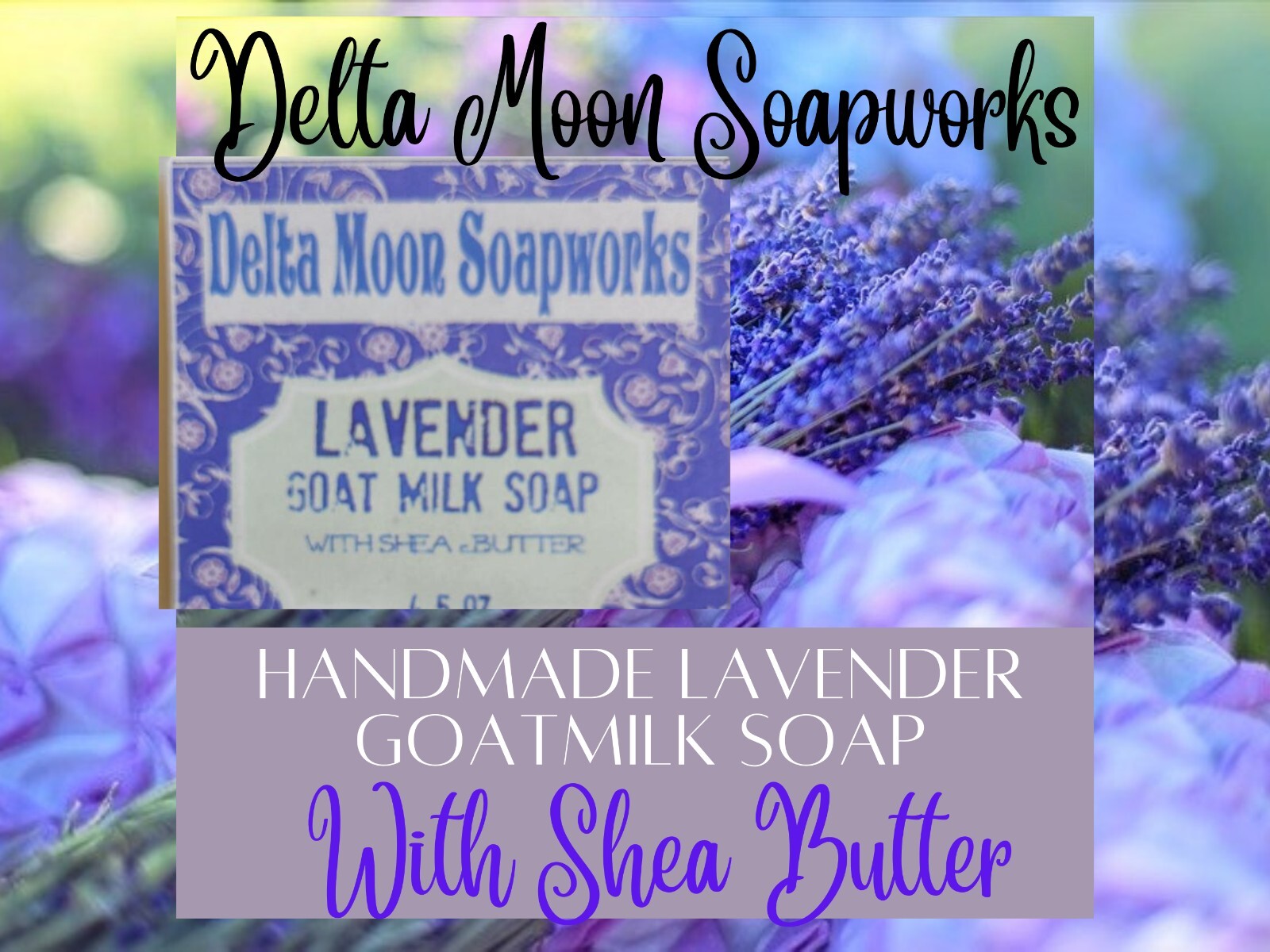 Handmade Lavender Goat Milk Soap, Shea Butter, Essential Oil, + samples