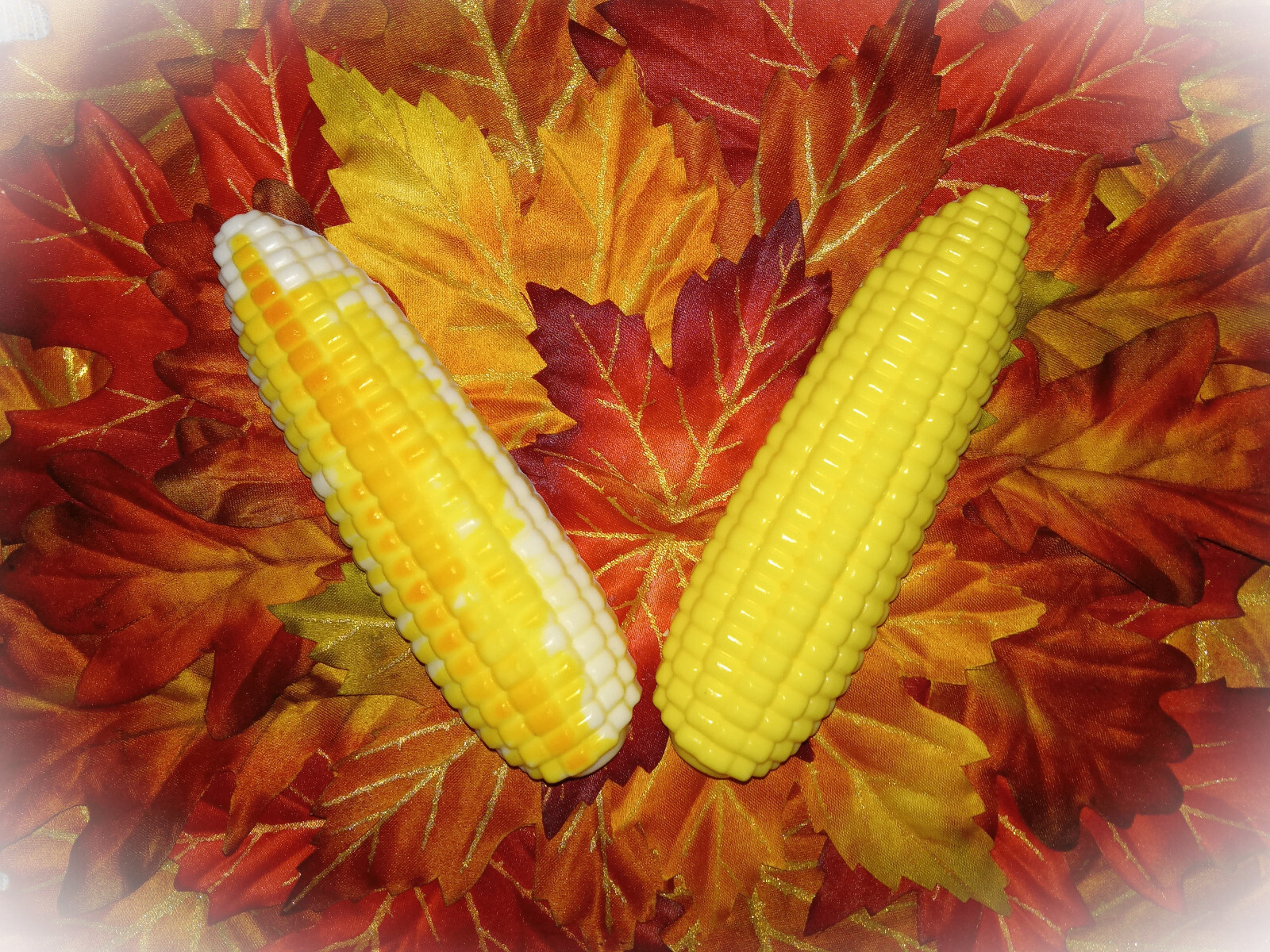 Corn Cob Bar Soap, choice of soap type and scent, FREE ship, 175+ scents, gifts