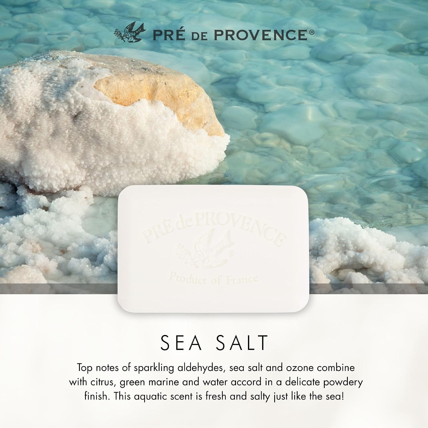 Luxurious Artisanal Soap Bar with Organic Shea Butter – Sea Salt Scent, 5.3 oz