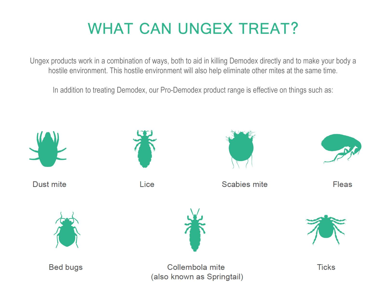 Treat Demodex Acne Rosacea Chalazion Blepharitis | Demodicosis Human Skin Mites