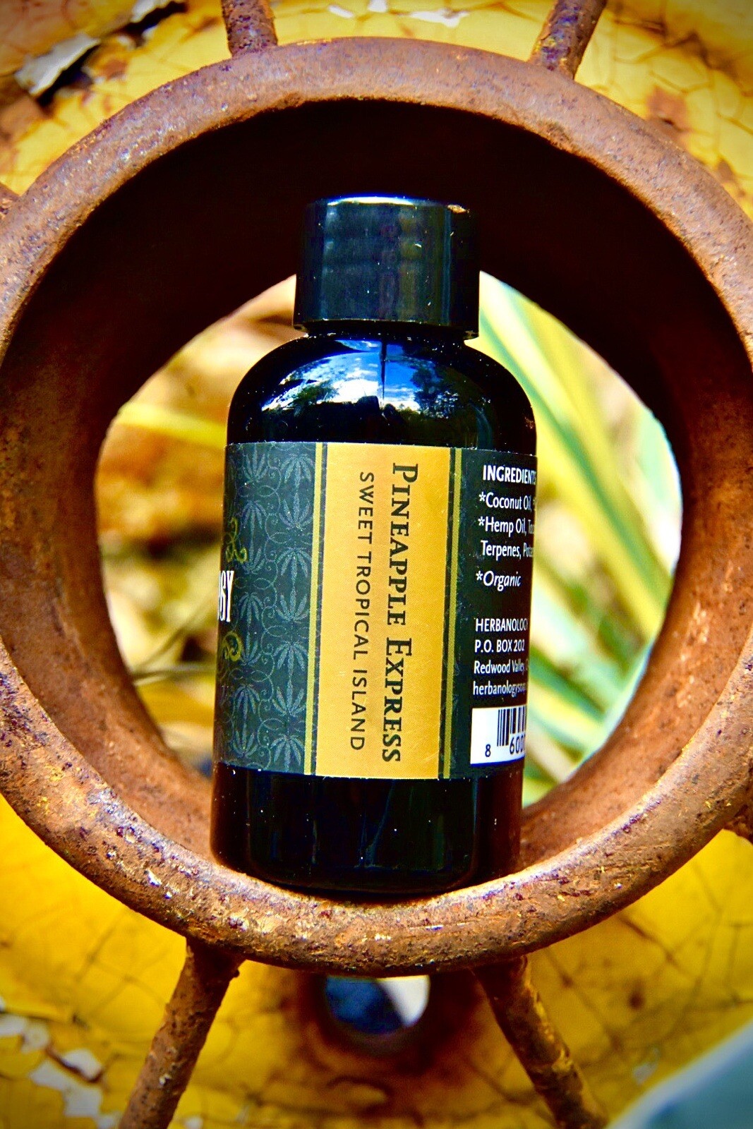Herbanology 8oz Pineapple Express Organic Liquid Castile All Purpose Soap
