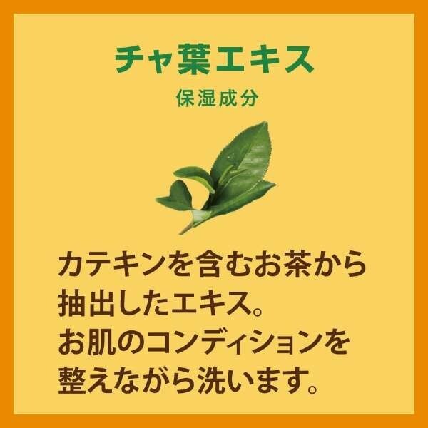 Pelican persimmon Astringent Family Soap 2P (80 g x 2) Tannin Body odor