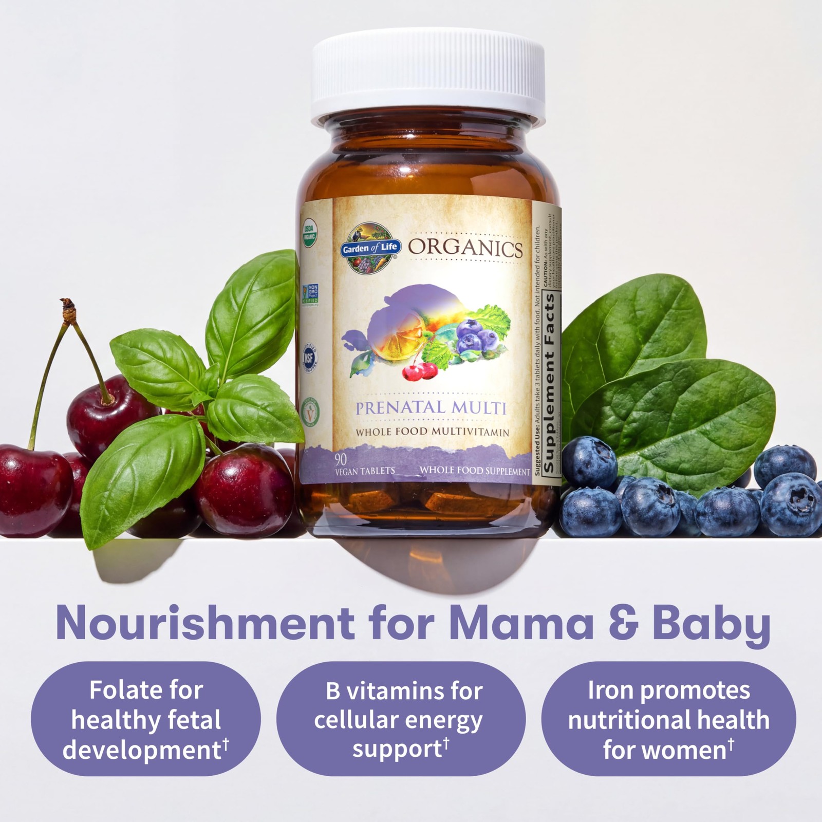 Garden of Life Organics Prenatal Multivitamin with 90 Count (Pack 1)