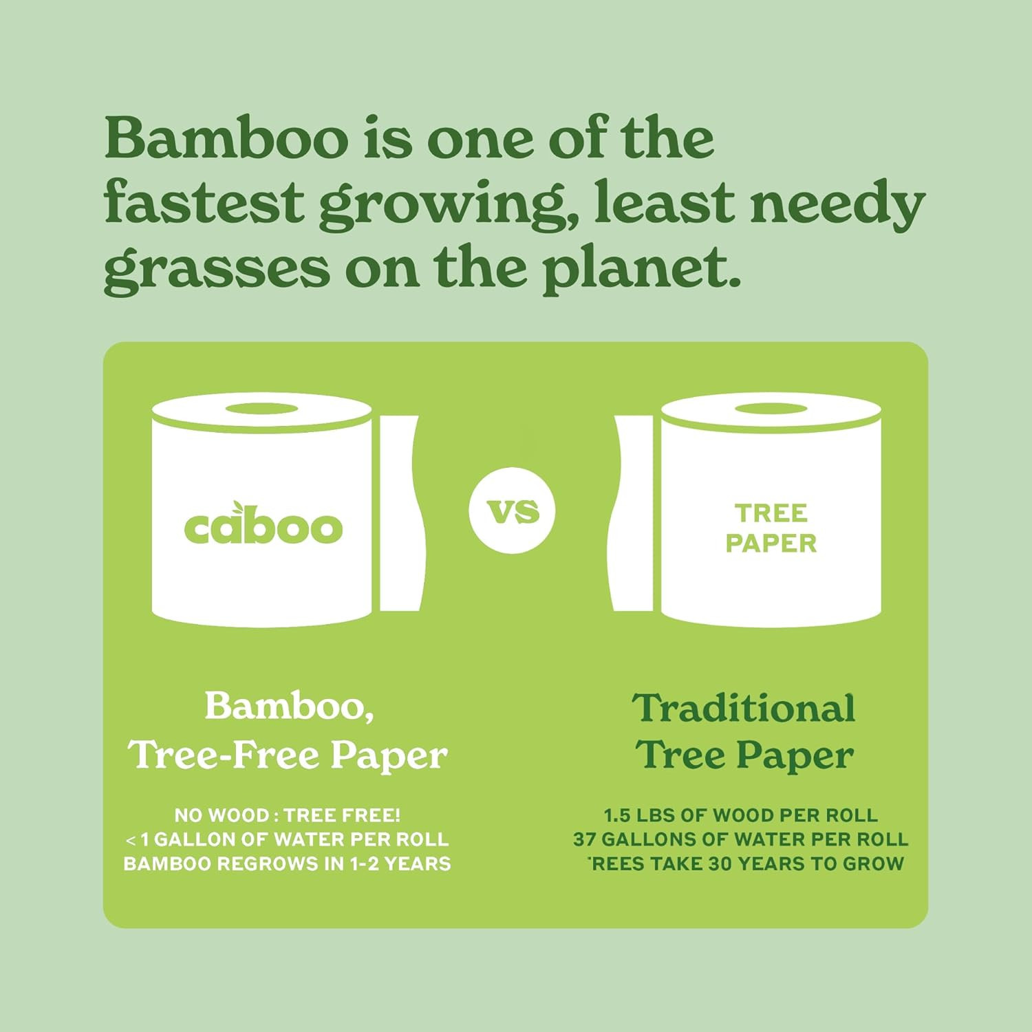 Caboo Tree Free Flushable Wipes, Certified Flushable, Septic Safe, Biodegradable