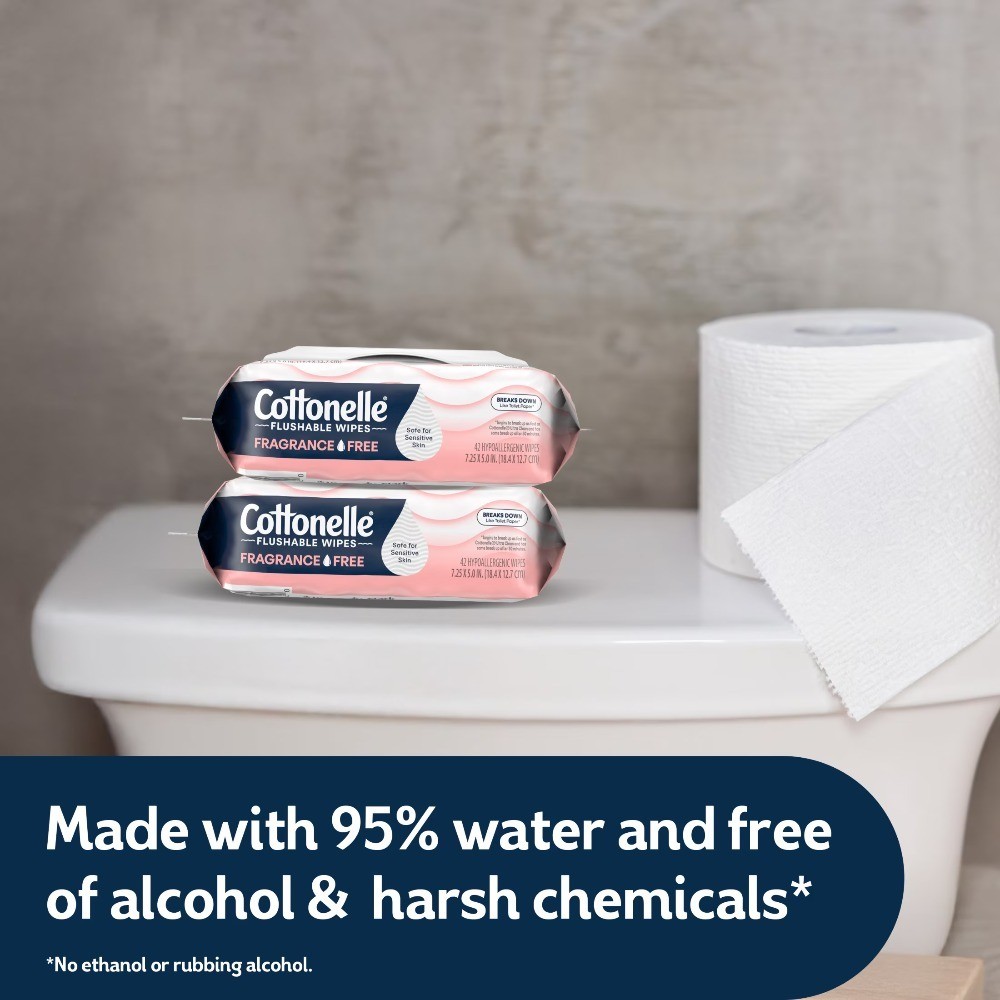 Fragrance Free Flushable Wet Wipes 4 Packs with Flip Top