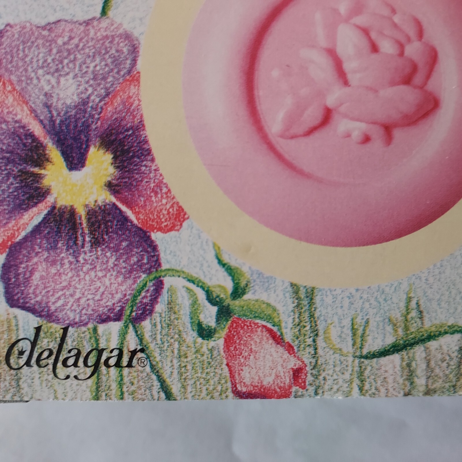 Soap on a Rope Delagar Spring Fresh Set of 2 Spring Fresh Scent