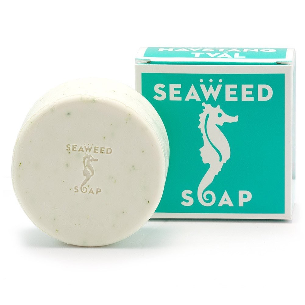 Swedish Dream Moisturizing Seaweed Soap 4.3 Ounce (Pack of 1), Green