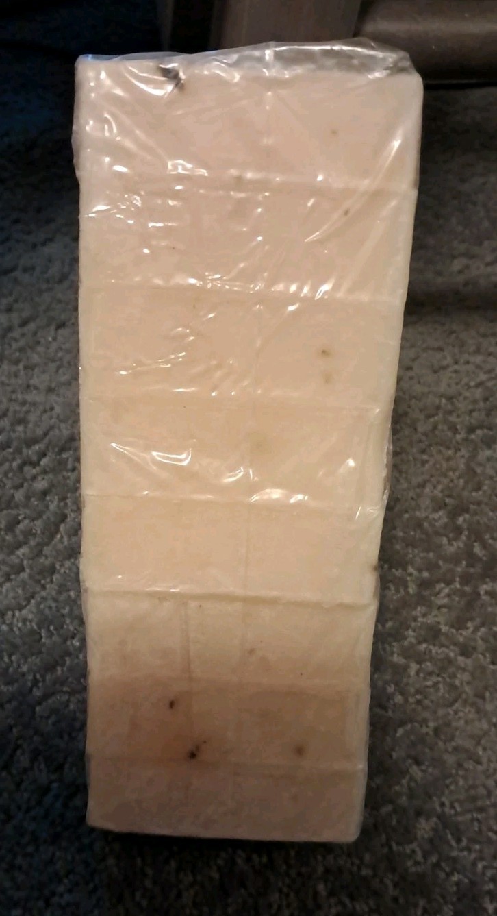 Eucalyptus Aloe Handmade soap loaf precut 9 Bars