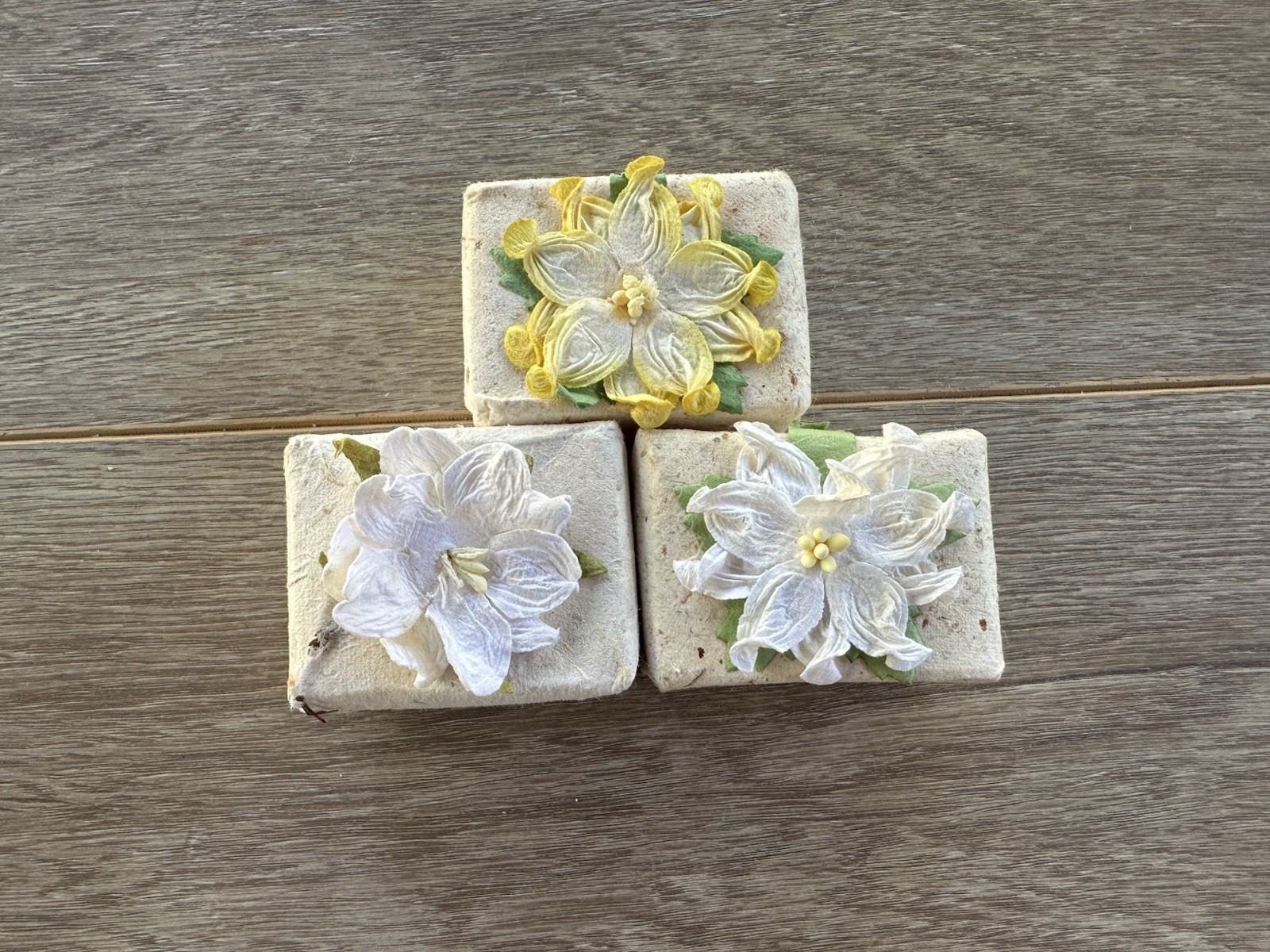 Pure Fiji Coconut Bar Soap 3.5oz Set Of 3 – Pineapple, Moringa, Passionflower