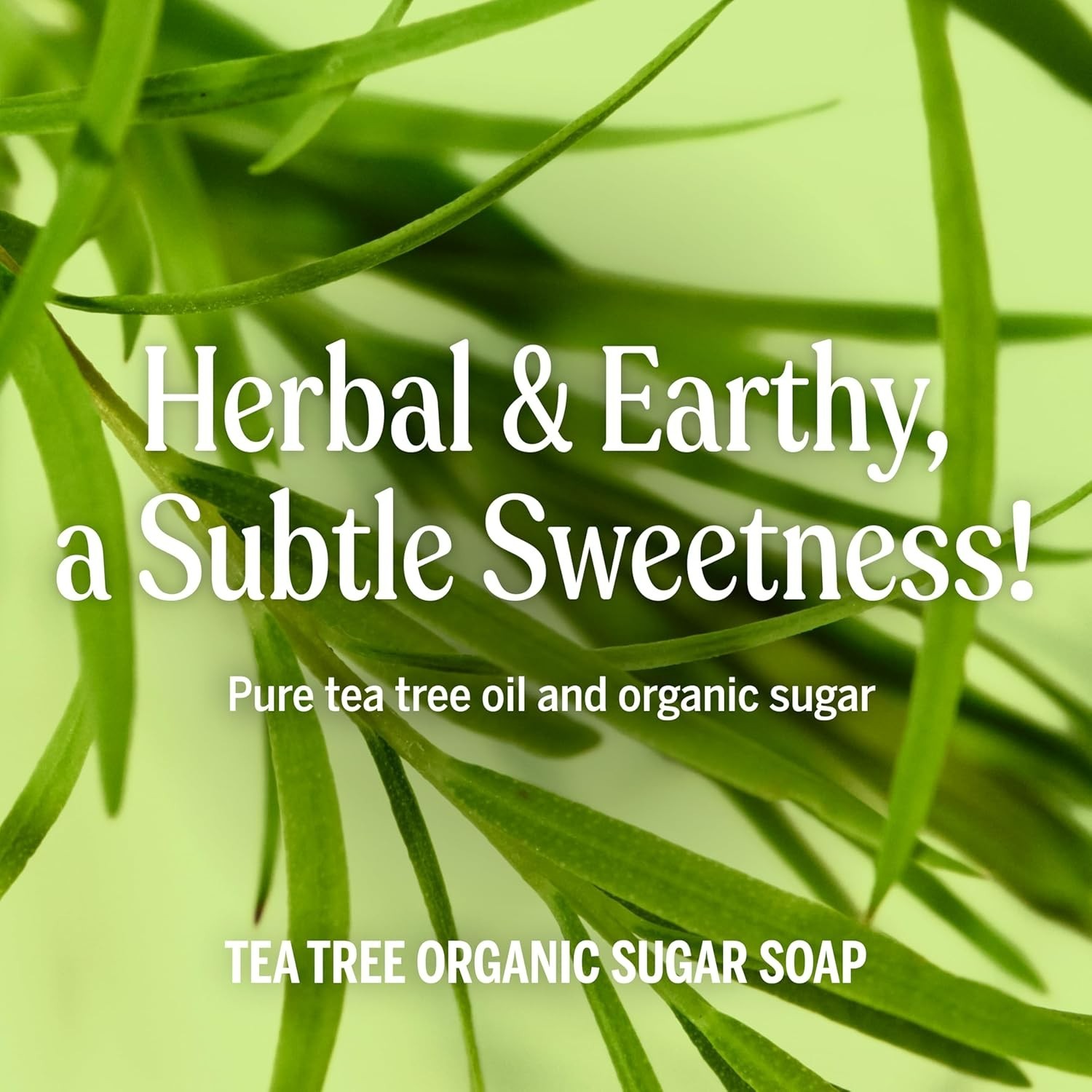 12oz Organic 4-in-1 Sugar Soap with Tea Tree – Perfect for Hands, Body, Hair