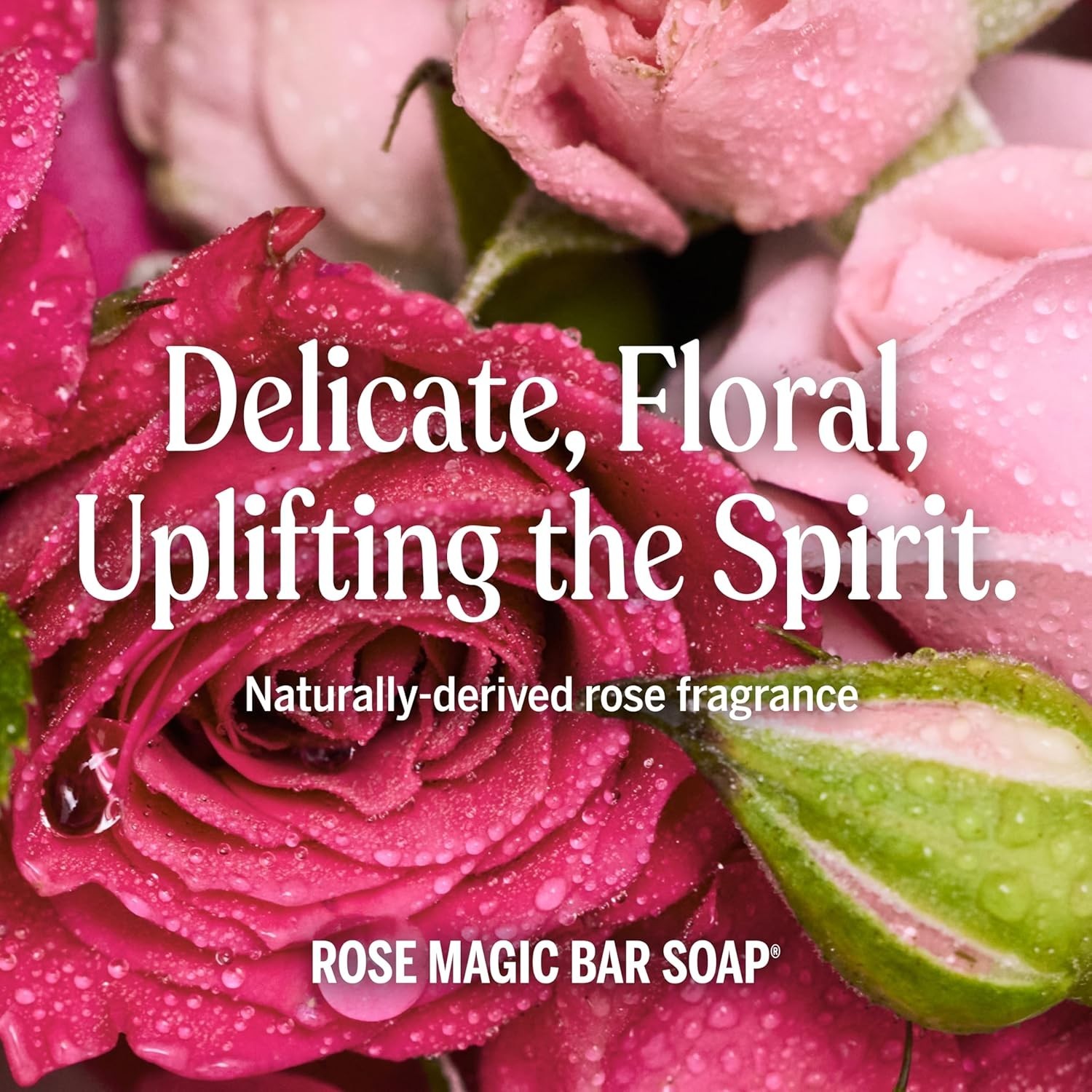 Castile Bar Soap Organic Rose 5oz for Face Body Hair Gentle Moisturizing