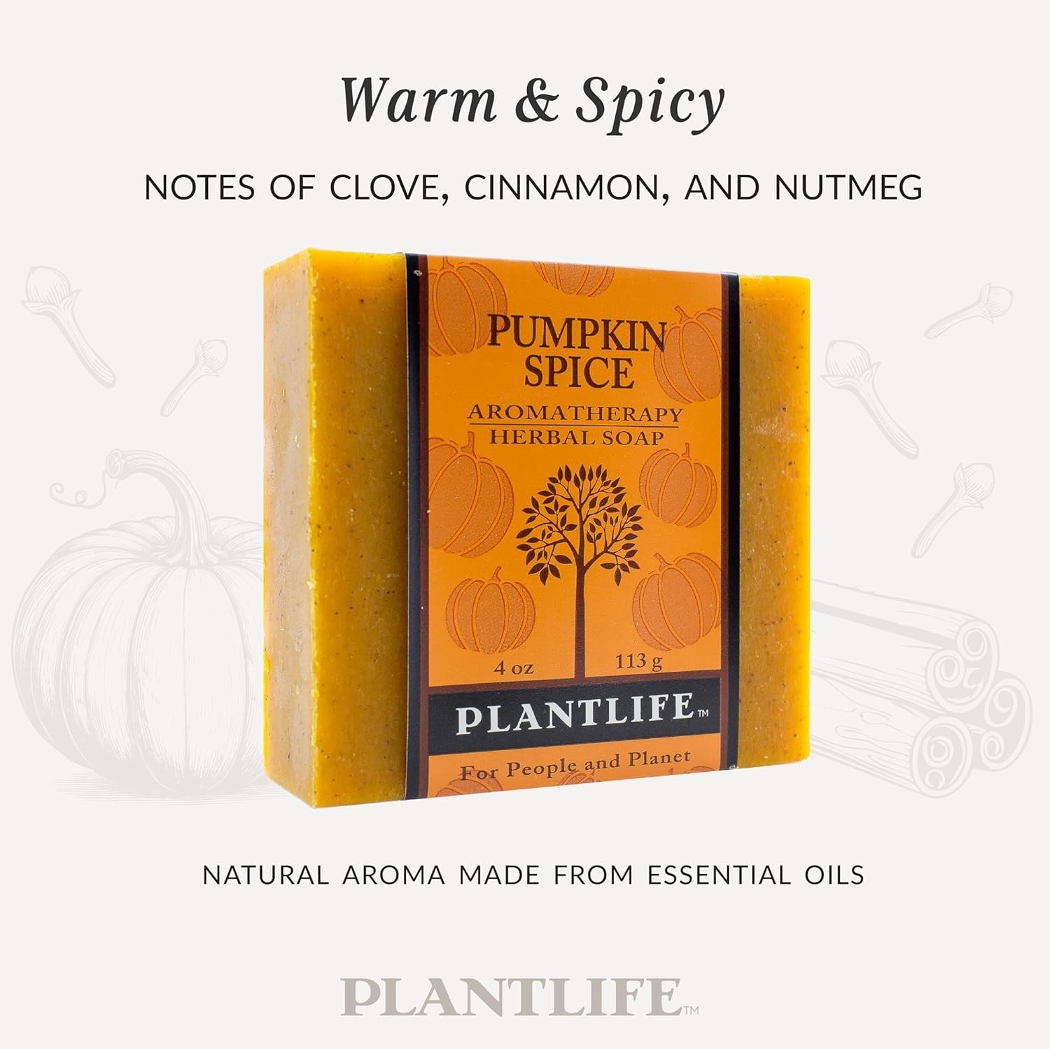 Organic Pumpkin Spice Soap Bar – Soothing Aromatherapy for All Skin Types 4oz