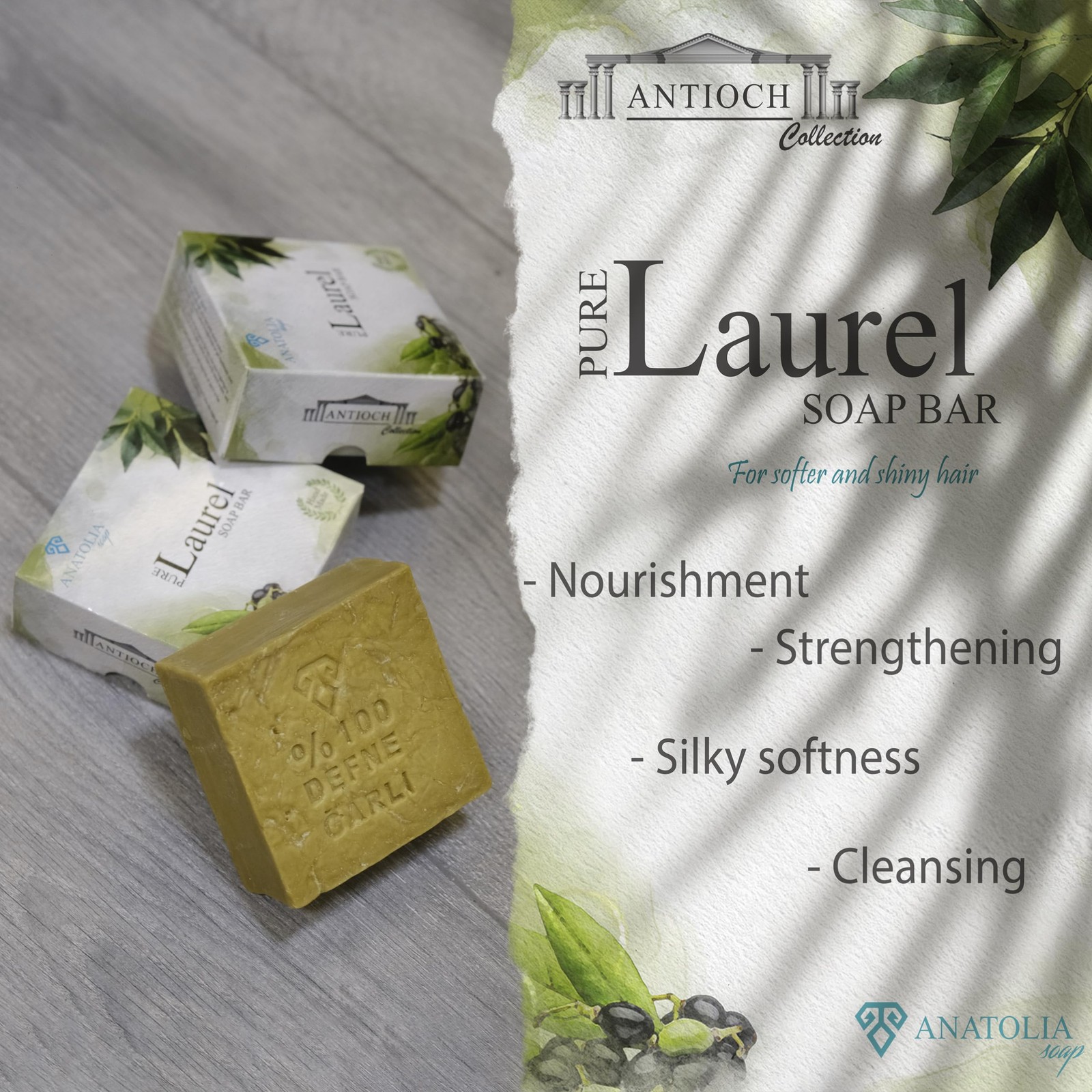 Antioch Collection Laurel Oil Shampoo Bar 5 oz – Handmade Soap, Olive Oil Bas…