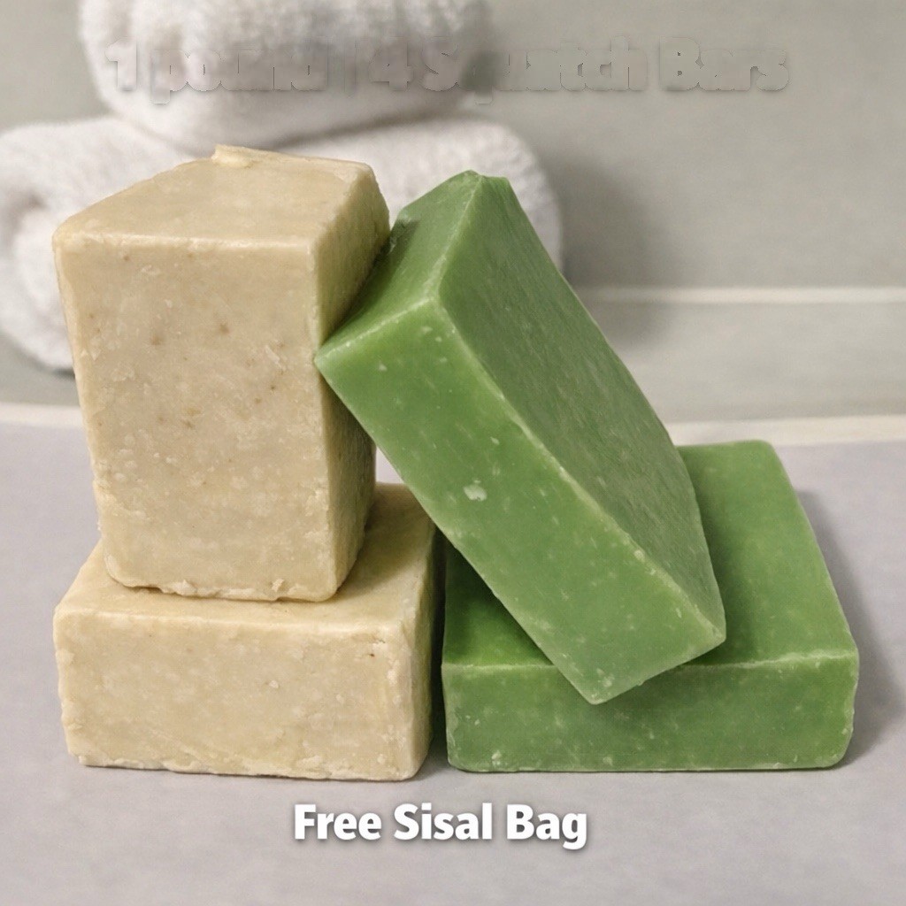 Dr. Squatch Soap 2 lbs, 8 Bars Factory Rejects FRESH Rain & Birch + 2 Sisal Bags