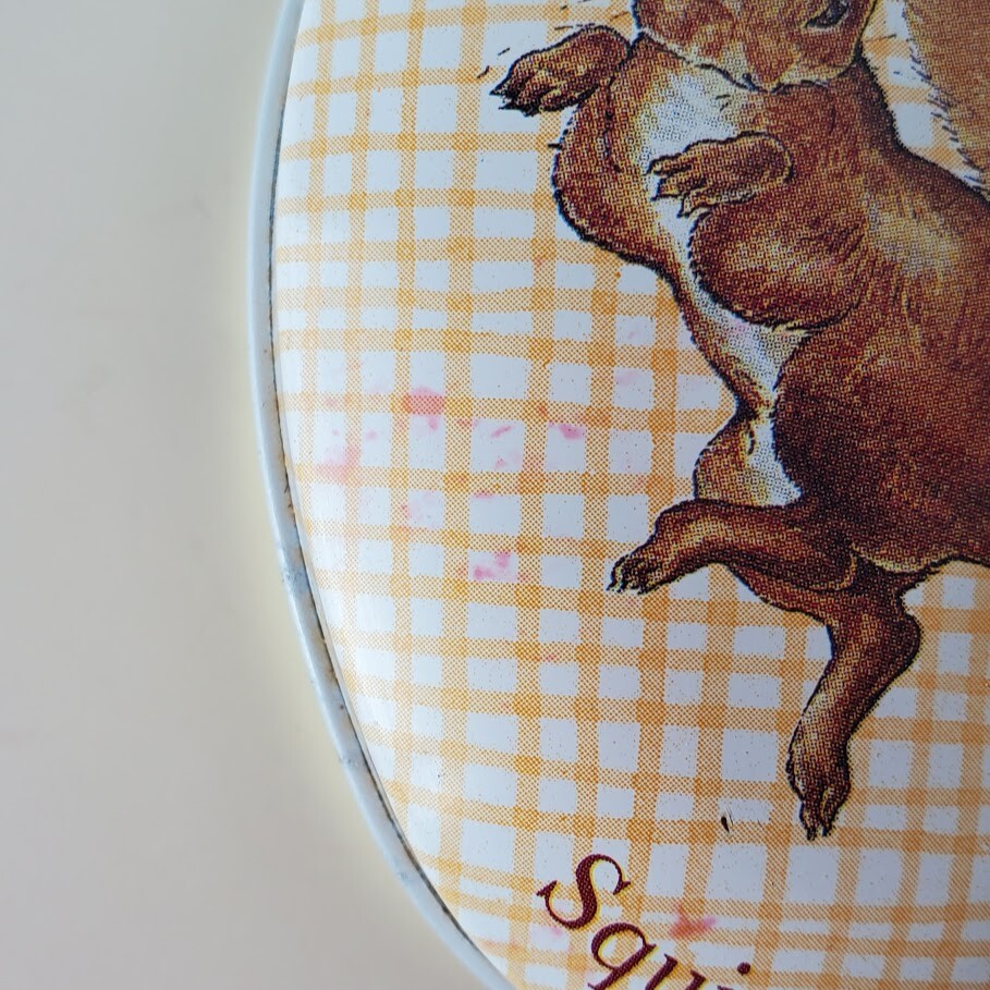 Woods of Windsor Squirrel Nutkin Hazel Celandine Soap Tin Beatrix Potter England