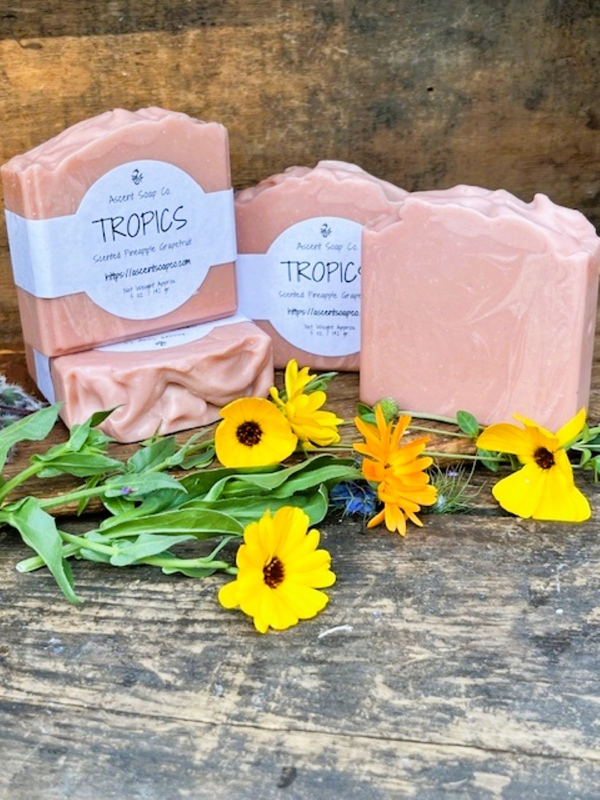 Tropics Handcrafted Artisan Soap from Ascent Soap Co.