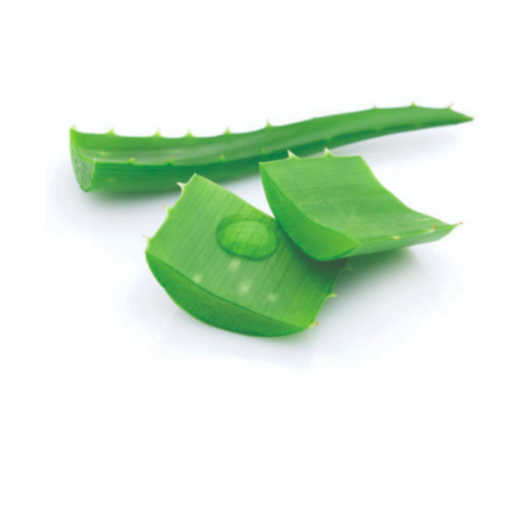 RIVAGE Olive Oil Soap with Dead Sea Minerals – Deeply Moisturizing & Natural Car
