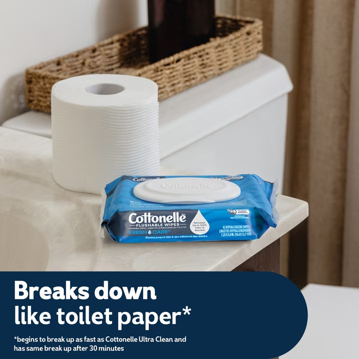 Cottonelle Fresh Care Flushable Wet Wipes, 10 Flip-Top Packs FREE SHIPPING