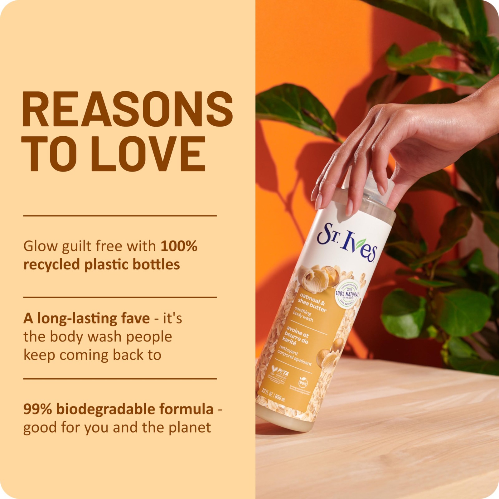 St. Ives Oatmeal & Shea Butter Body Wash | 22 Fl Oz (Pack of 1), No Color