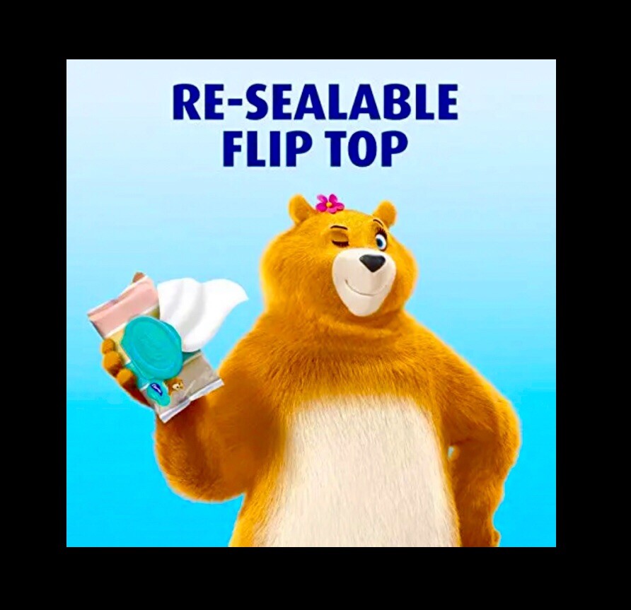 Charmin Flushable Wipes with flip top lids 80 count (2 x 40 Wipes) printed packs