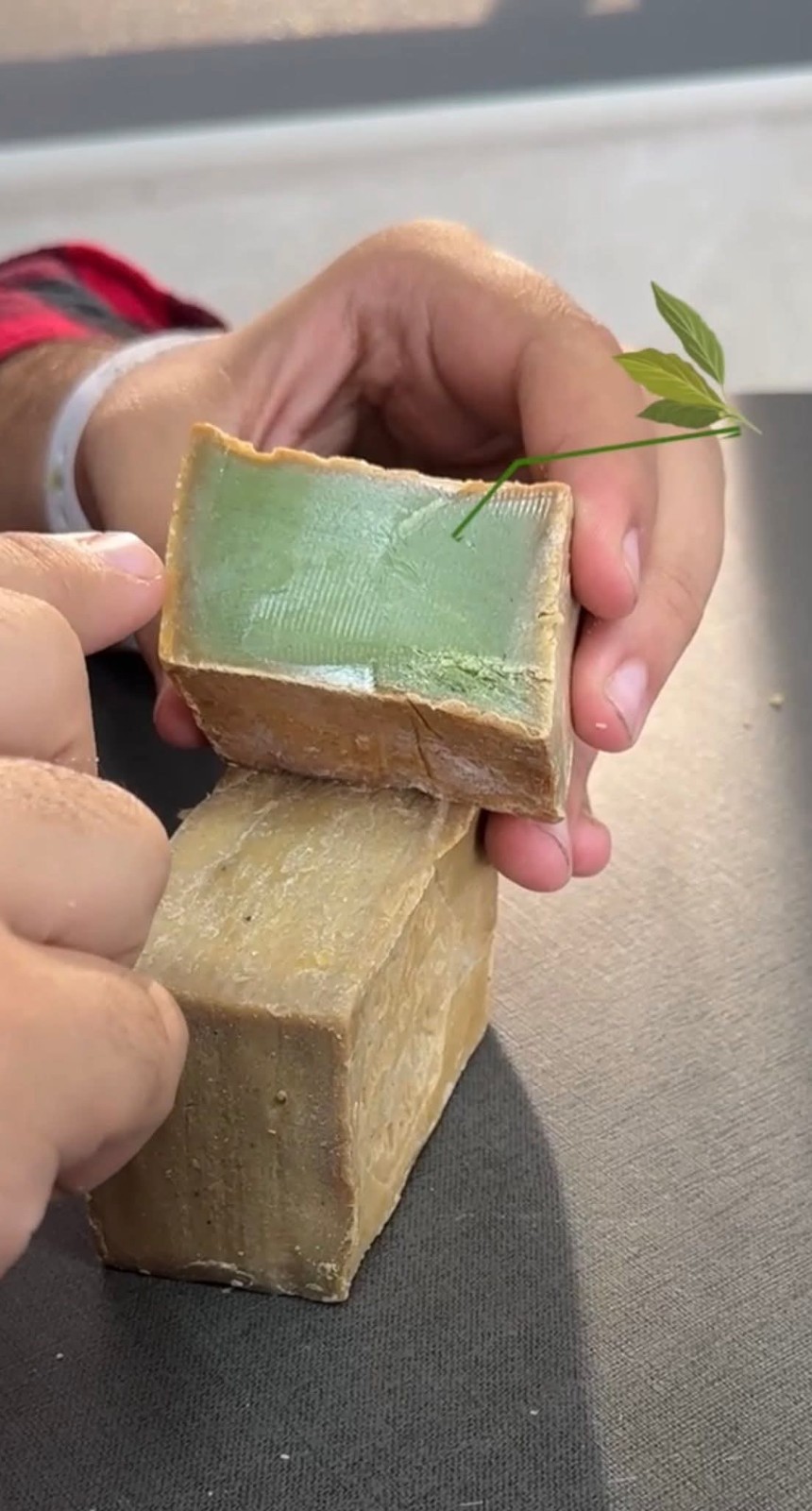 Laurel oil soap Olive Traditional Natural Aleppo-Ghar Best Vegan غار حلبي اصلي