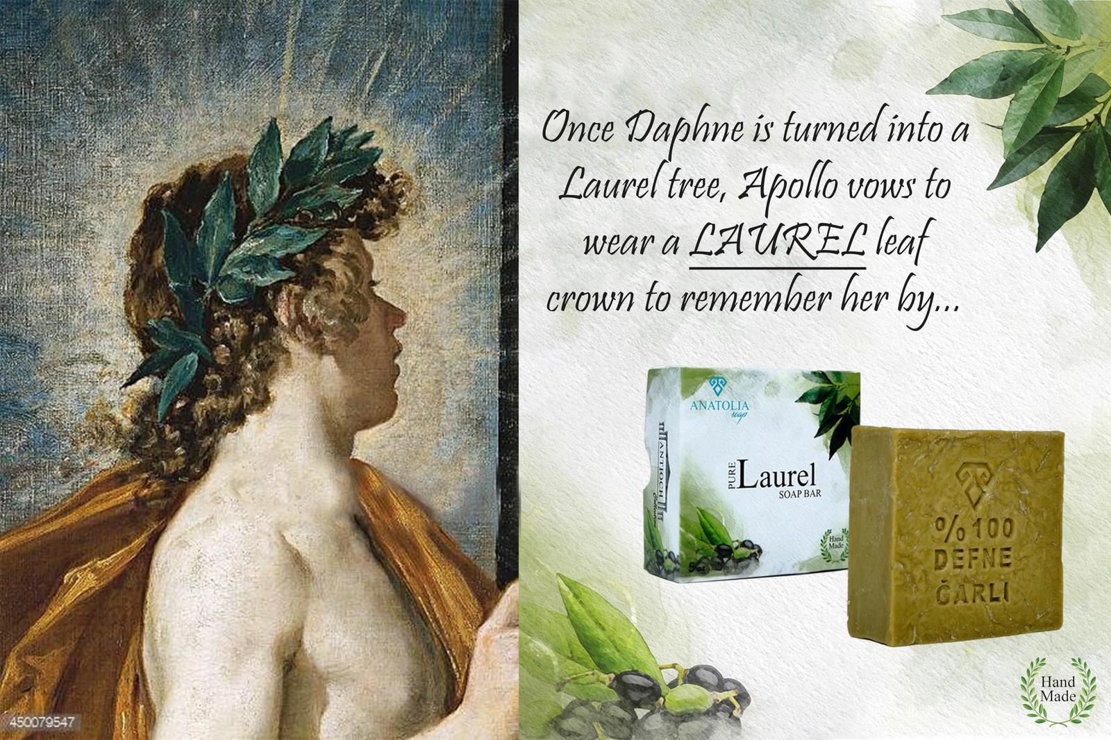 Anatolia Soap Antioch Collection Laurel Oil Shampoo Bar 5 oz – Handmade Soap,…