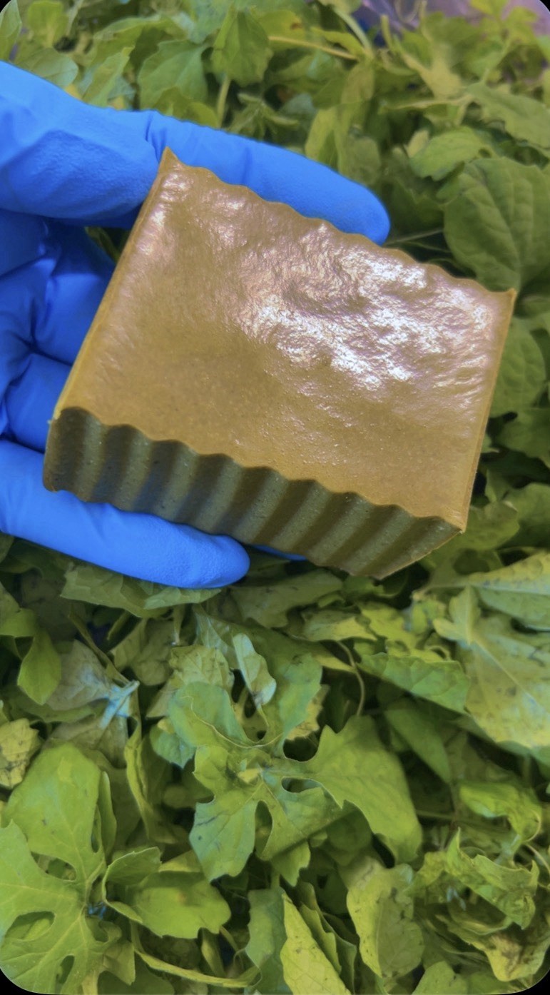 Acne Cerasee (Asosi) Neem Soap Bar for Face & Body Green