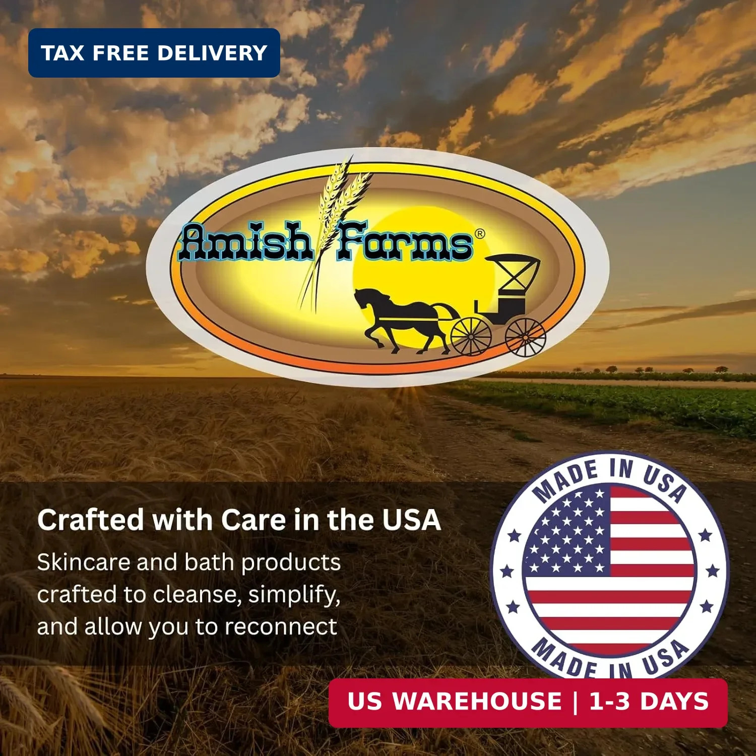 Amish Farms Fragrance Free Bar Soap with Bentonite Clay 5 oz Bars (5 Pack) Vegan
