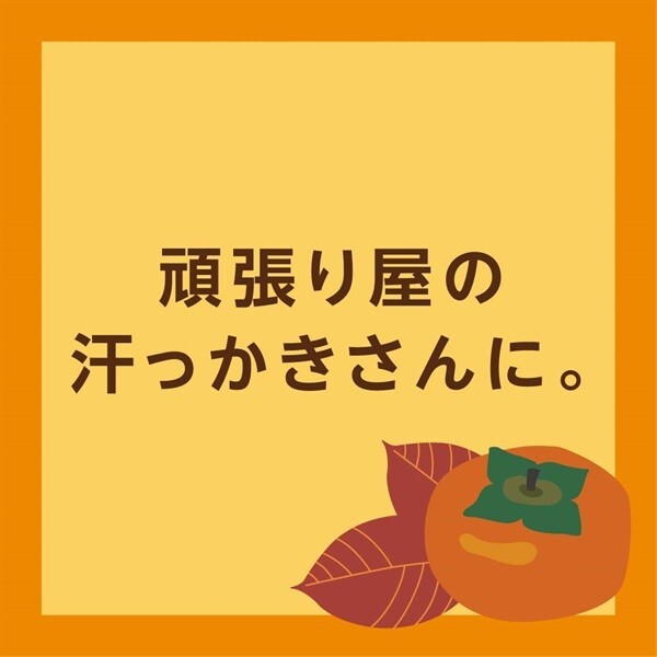 3×[80g×2] Pelican PERSIMMON ASTRINGENT FAMILY SOAP Body Odor Care Made in Japan