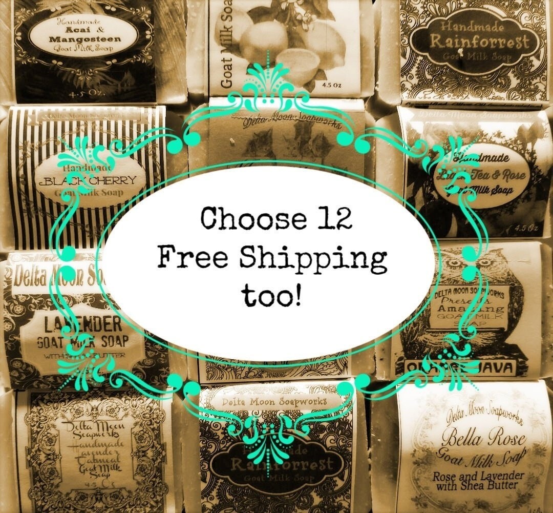Handmade Goat Milk Soap, Choose 12, ships fast, + samples