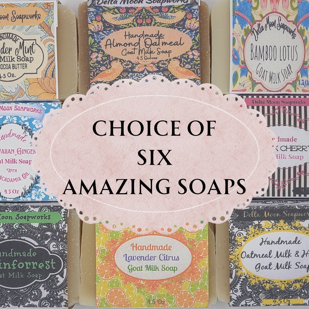 Lot of SIX Handmade Goat Milk Soap, Your Choice of 6, + samples, ships fast