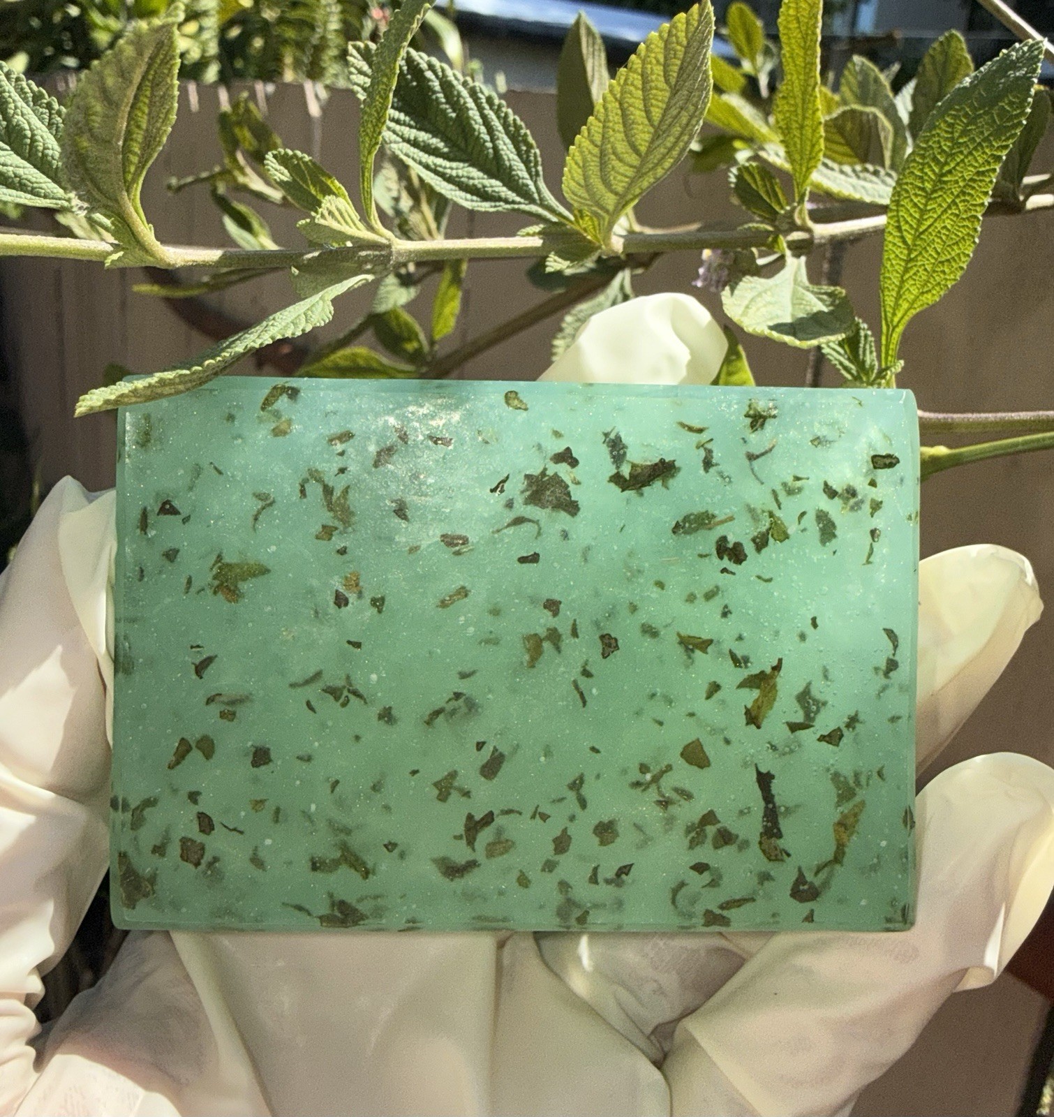 Eden Fresh Intimate Soap With Real Mint Leaves & Alum