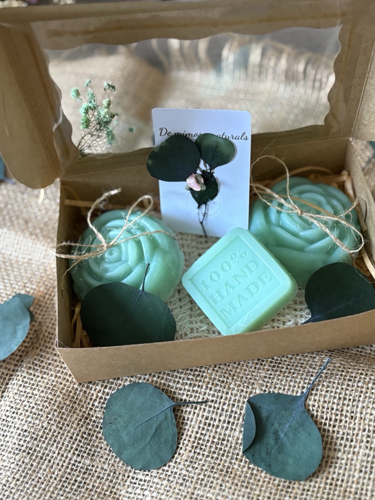 Set regalo de jabones artesanales de sábila | Aloe Vera 100% handmade