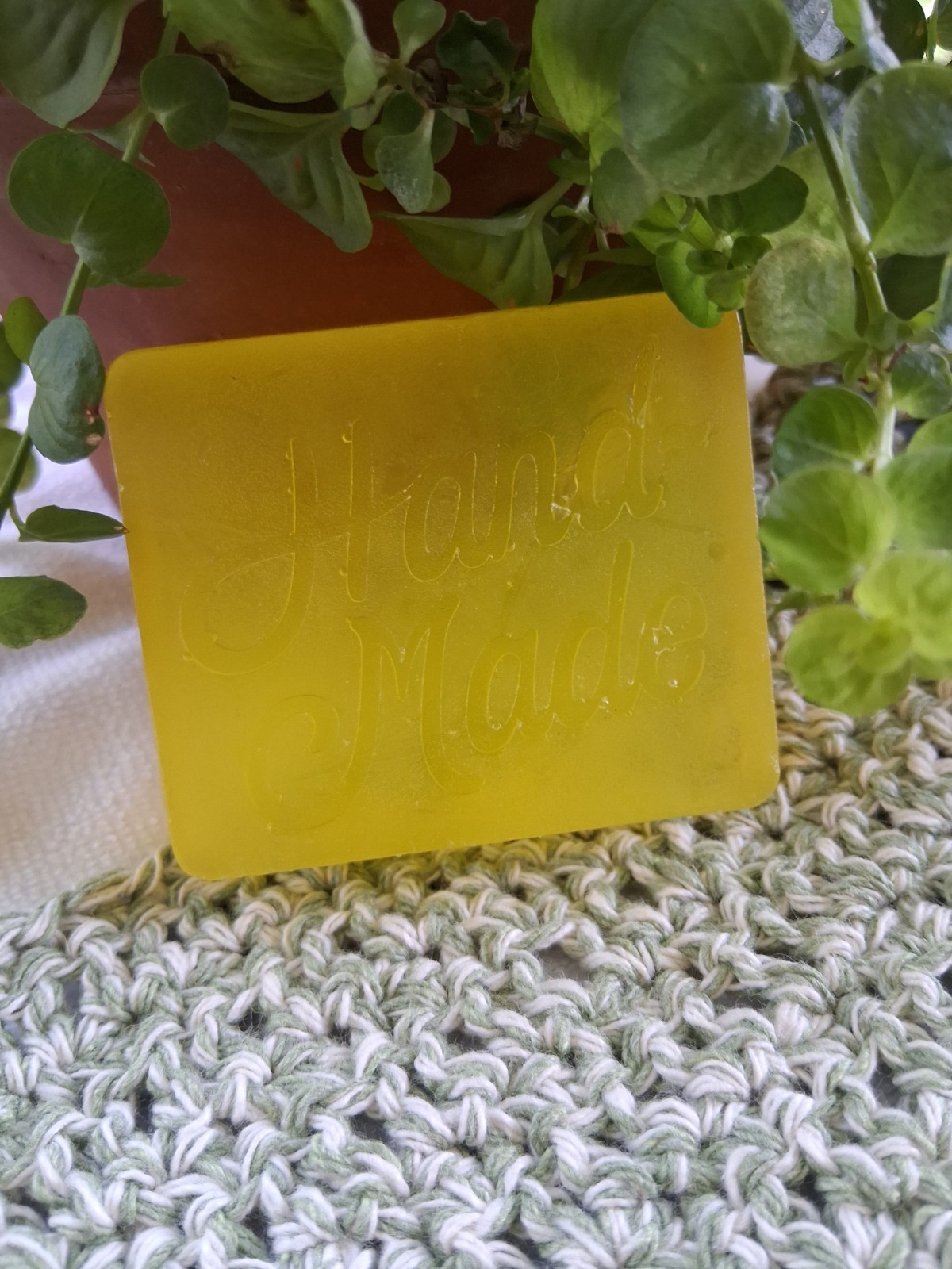 OLIVE OIL & ALOE VERA HANDMADE BODY SOAP SCENTED IN CACTUS BLOSSOM ESSENTIAL OIL